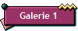 Galerie 1